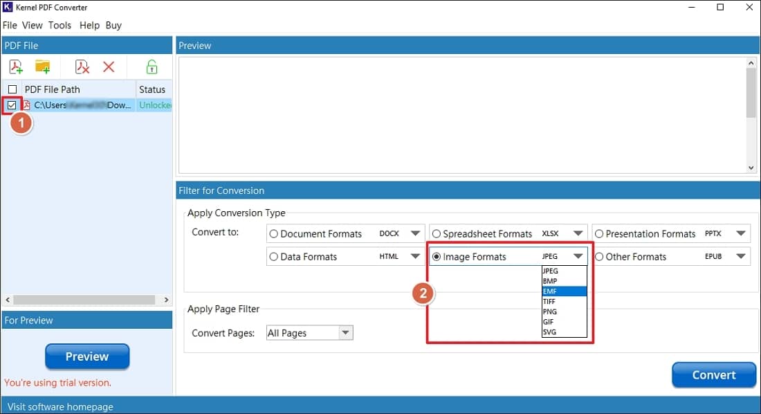 set filter to emf conversion 