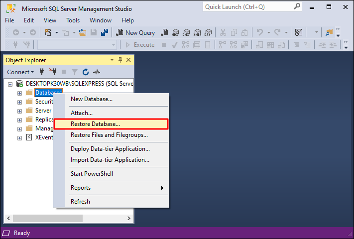 Restore Database Option