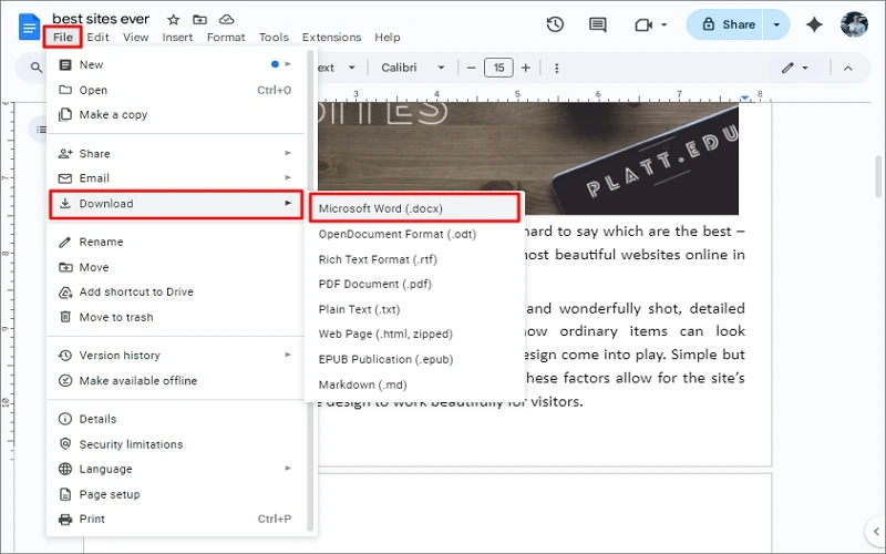 download docs file