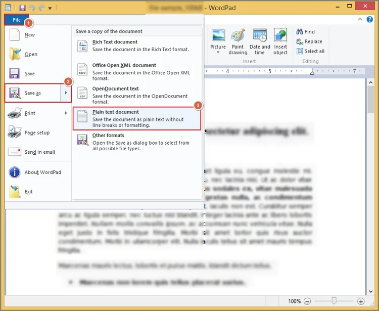 save txt in wordpad