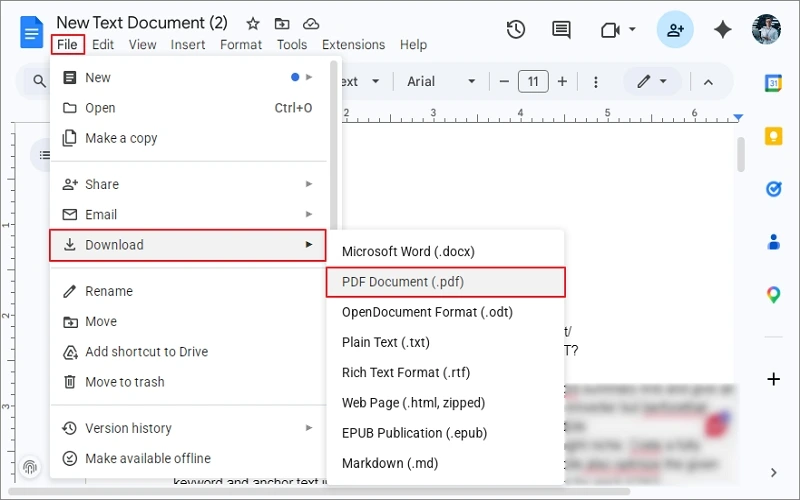 convert txt to pdf via google docs