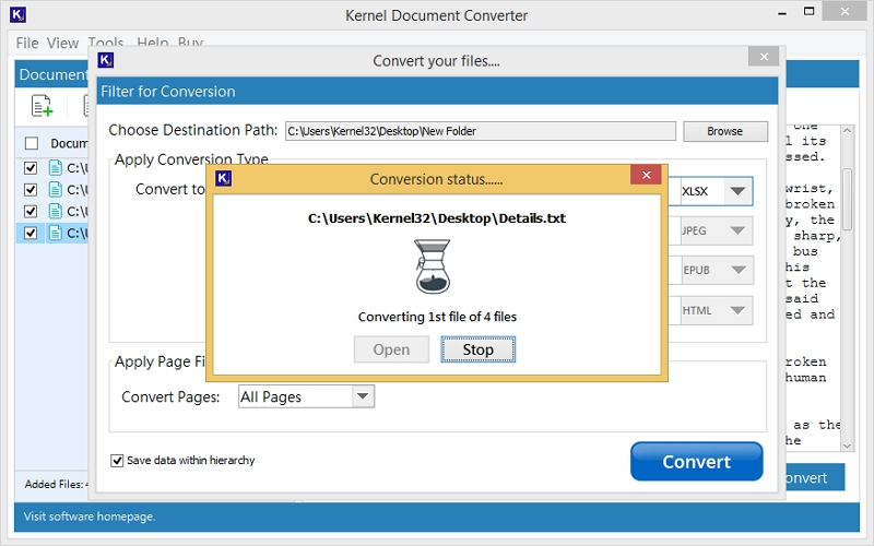 txt to excel conversion