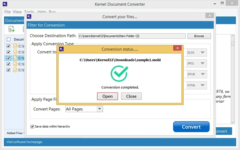 click open to view pdf