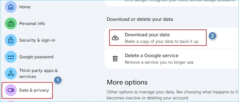 Download Gmail data