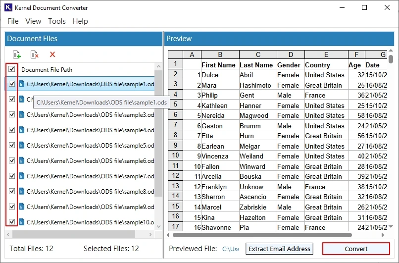 preview then click convert