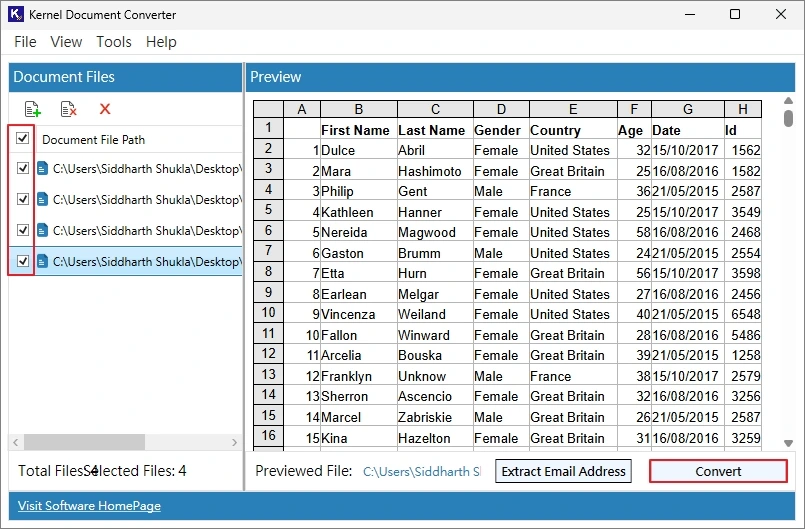 preview and click convert