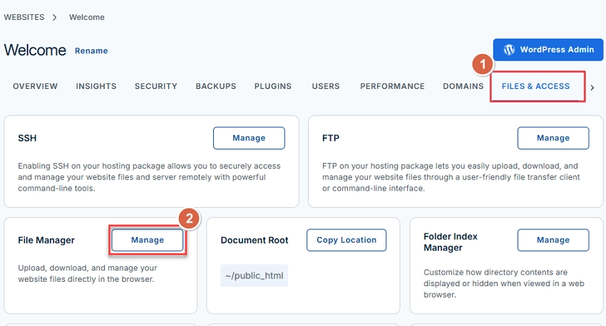 Select the FILES and ACCESS tab