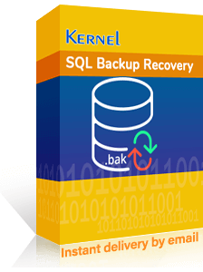 Kernel SQL Backup Recovery Box