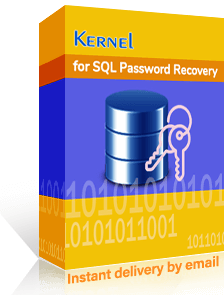 Kernel SQL Password Recovery