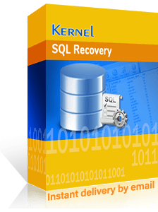 SQL Recovery box