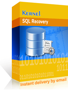 Kernel for SQL Recovery box