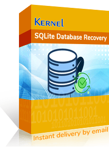 Kernel Oracle Database Recovery