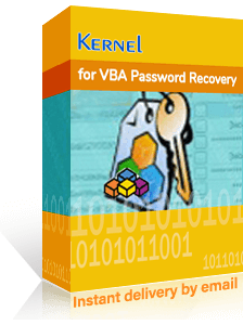 Kernel for VBA Password Recovery