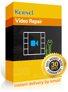 Kernel Video Repair Software