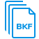 Open Multiple BKF Files