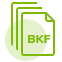 Open Multiple BKF Files