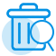 View Permanently Deleted Data