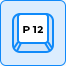 Log in using P12 key