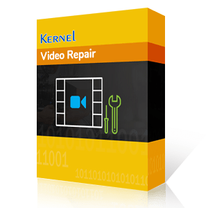 Kernel Video Repair