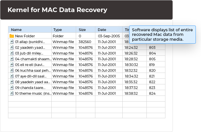 Preview list of entire recovered Mac data