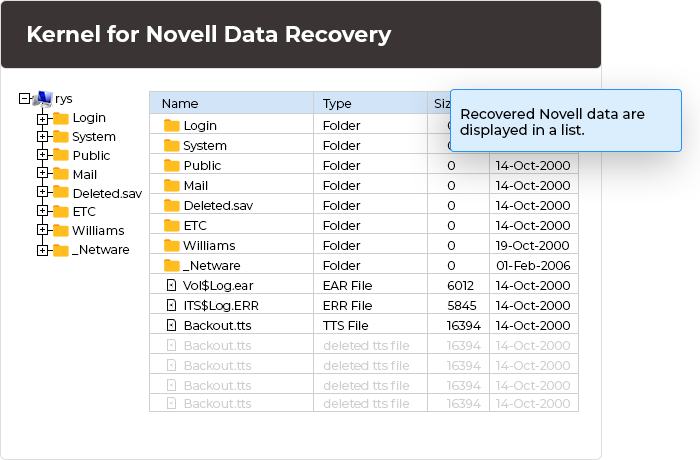 View all recovered Novell data in the tool