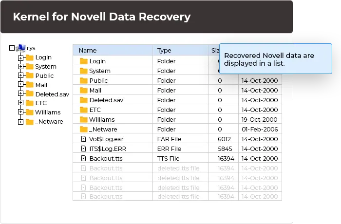 View all recovered Novell data in the tool