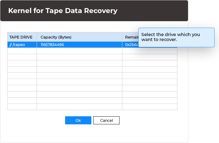 In this step, you can select the drive which you want to recover.