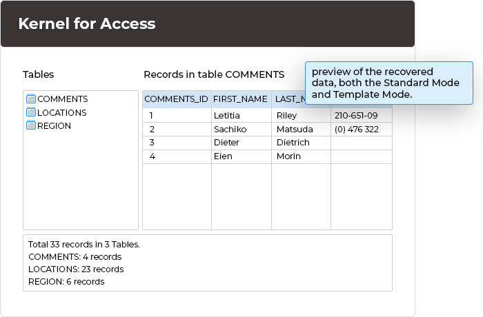 View all your recovered data in both modes