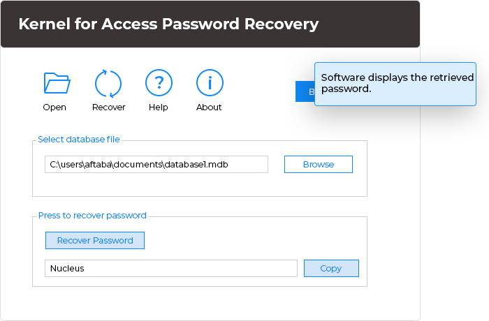 In the final step, the software displays the retrieved password.
