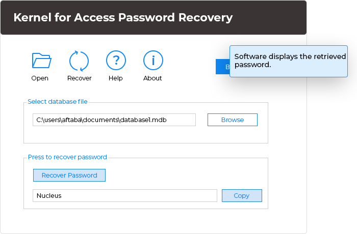 In the final step, the software displays the retrieved password