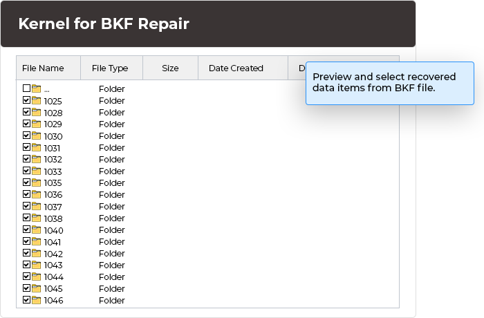 Get a detailed preview of the recovered items. 