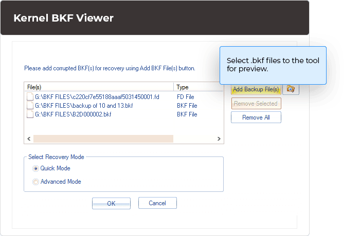 Select .bkf files to the tool for preview.