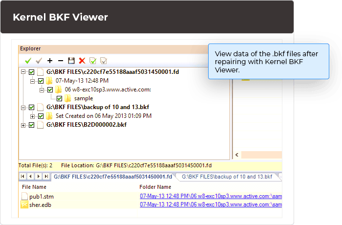 View data of the .bkf files after repairing with Kernel BKF Viewer.