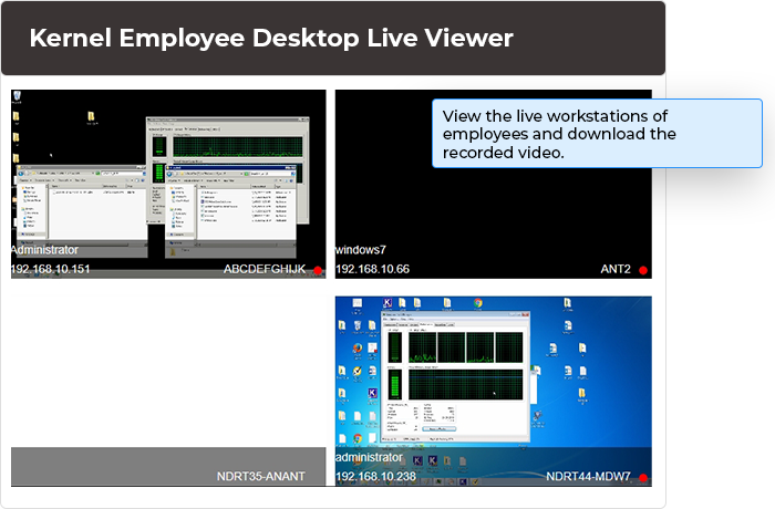 View the live workstations of employees and download the recorded video