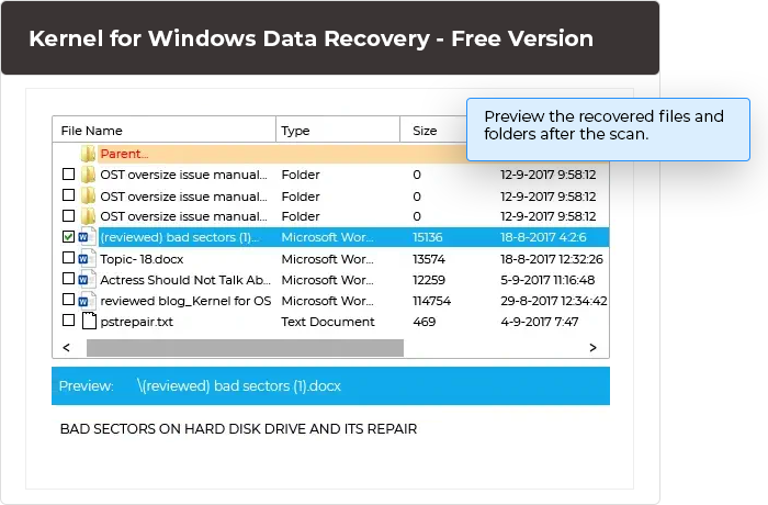 Preview the recovered files and folders after the scan. The recovered files are displayed in a tree-like structure. Select the file that you want to open and view it immediately in the preview pane.