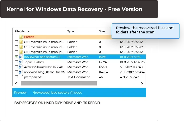 Preview the recovered files and folders after the scan. The recovered files are displayed in a tree-like structure. Select the file that you want to open and view it immediately in the preview pane.