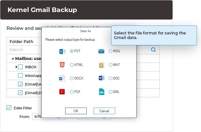 Select the file format for saving the Gmail data.