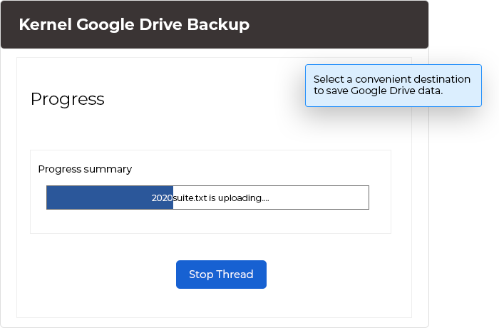 Select a convenient destination to save Google Drive data.