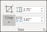 Enter the required dimensions for image