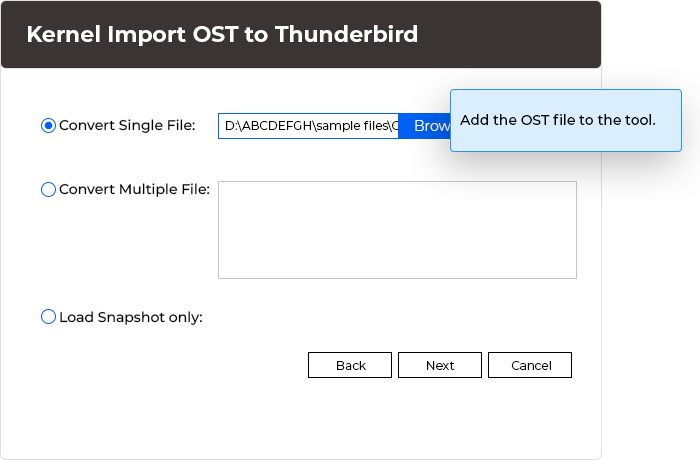 Add the OST file to the tool.