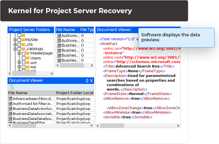 In the next step, after the successful completion of recovery procedure, the software displays the data preview.