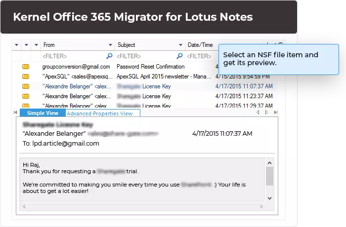 Preview the selected NSF file items.