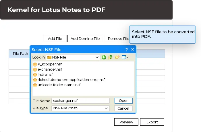 In this step, you need to select NSF file to be converted into PDF.
