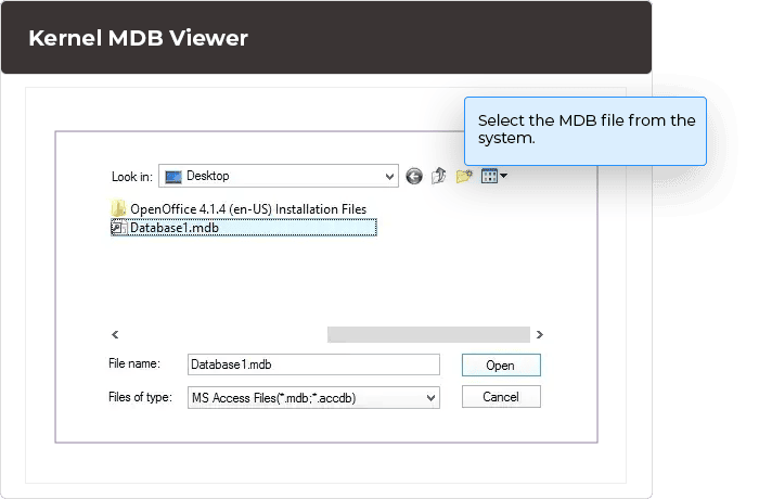 Select the MDB file from the system.
