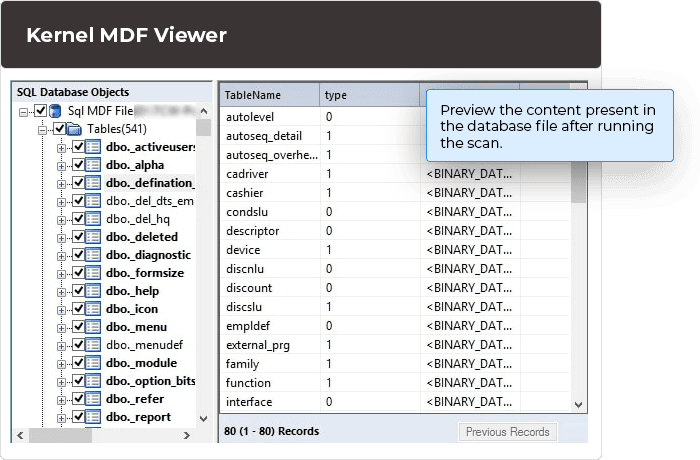 Preview the content present in the database file after running the scan.