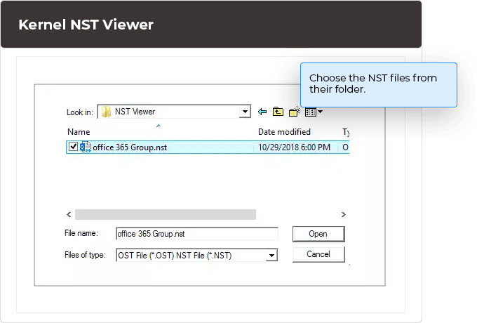 Choose the NST files from their folder.