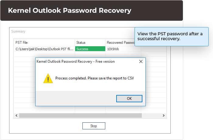View the PST password after a successful recovery.