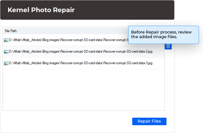 Before starting the repair process, review the added image files.