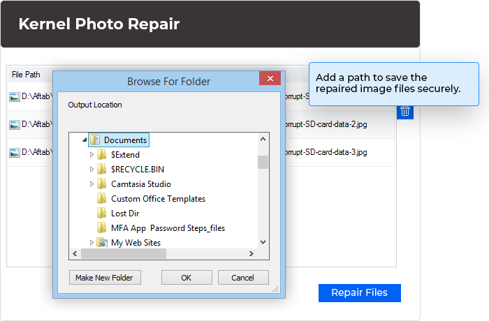 Add a destination path to save the repaired image files securely.