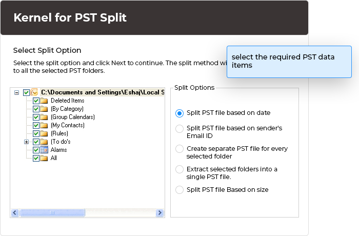 Select the required PST data items